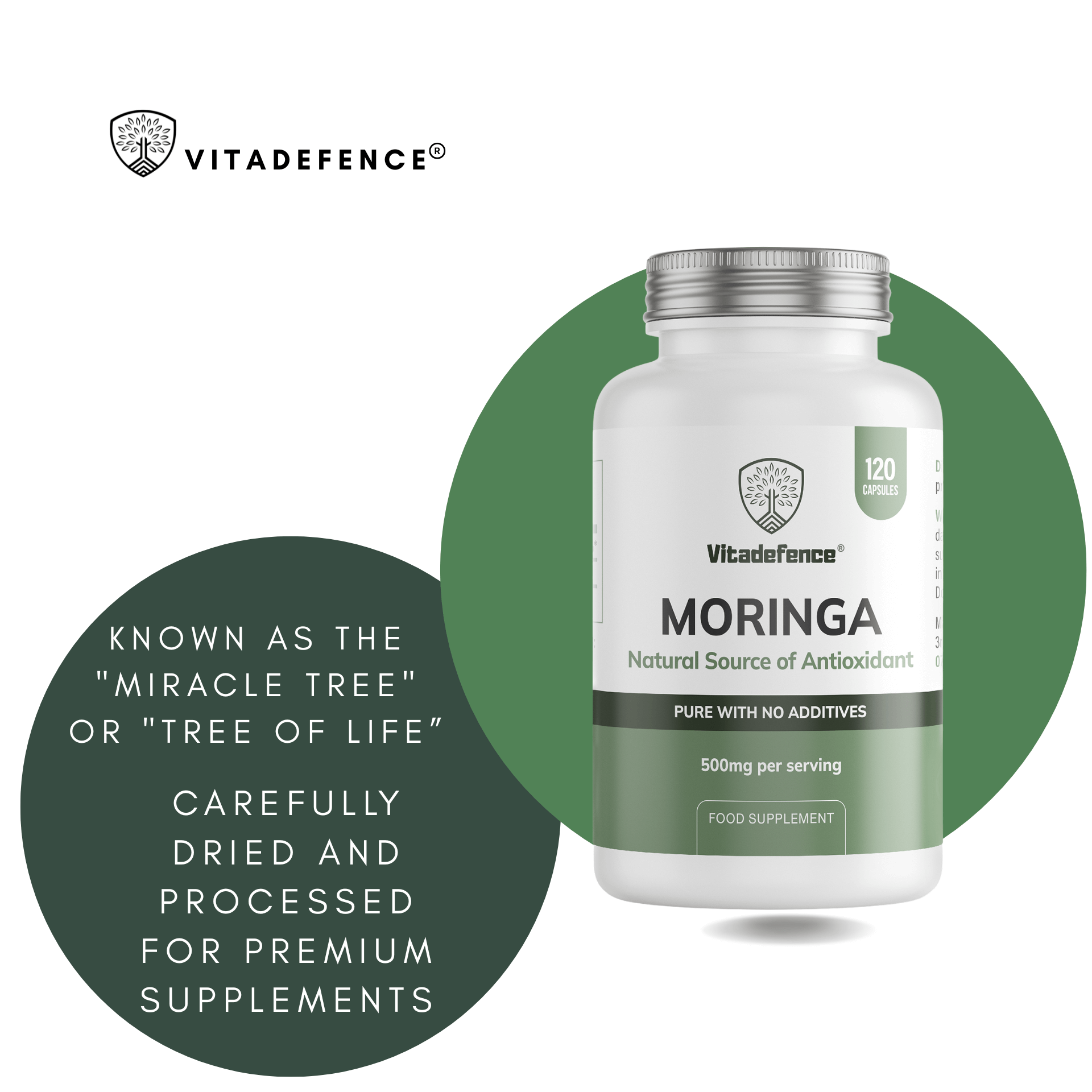 Moringa Oleifera | 500 mg Vegan Capsules – 120 Count